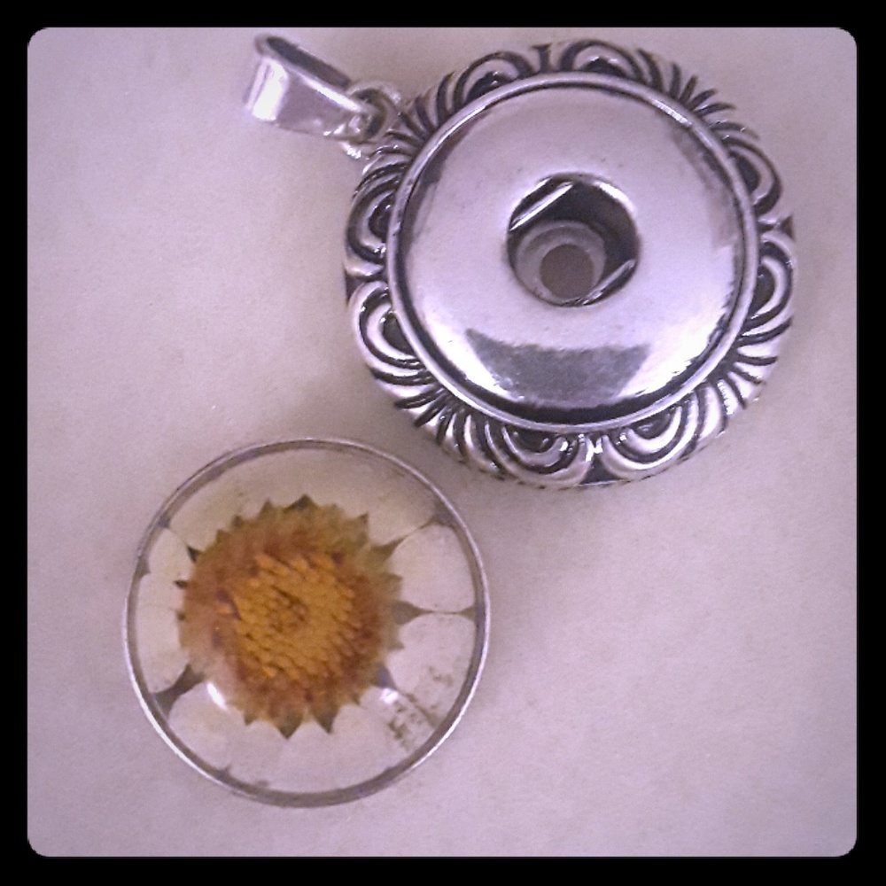Snap pendant and charm set
